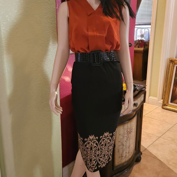 Business Ensemble Blouse Sm, Skirt Med, & Belt S/M. Perfect for that Interview. - Picture 1 of 10